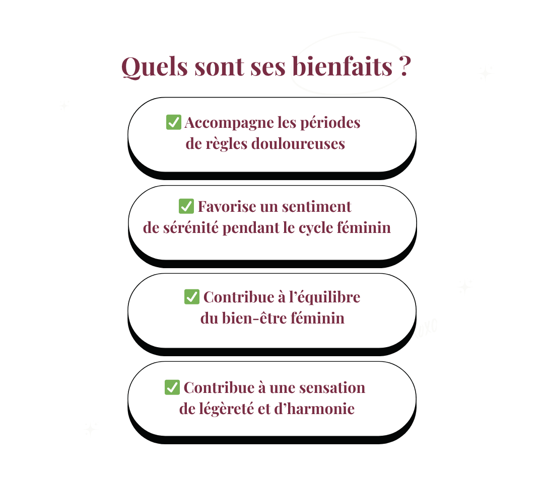 Tisane confort menstruel