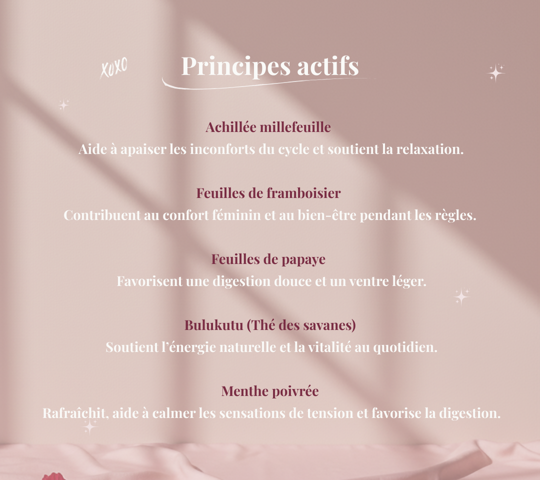 Tisane confort menstruel
